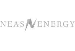 NEAS Logo grey