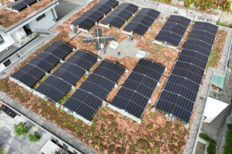 Solares Gründach mit Montagesystem MSP-FR green von Schweizer